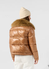 Charger l&#39;image dans la galerie, Jott Nevada shiny brown
